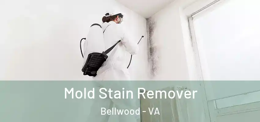  Mold Stain Remover Bellwood - VA