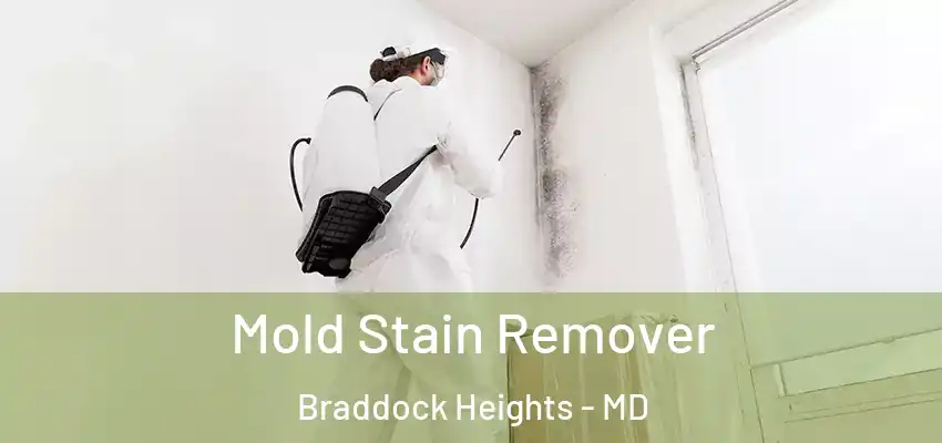 Mold Stain Remover Braddock Heights - MD