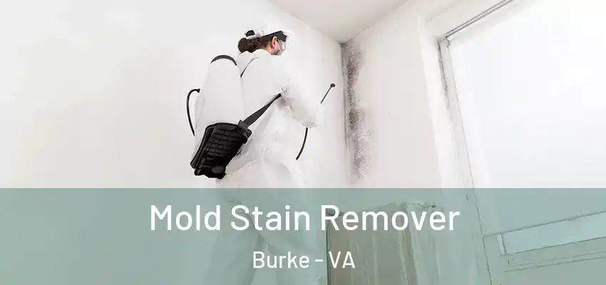 Mold Stain Remover Burke - VA