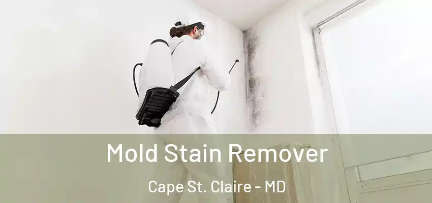 Mold Stain Remover Cape St. Claire - MD