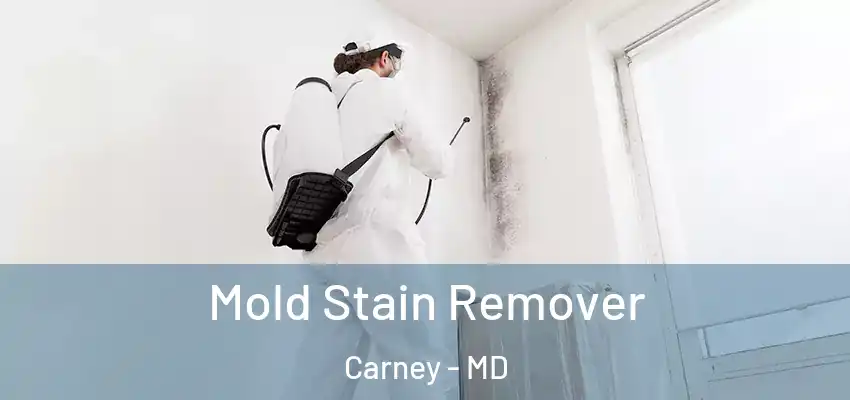 Mold Stain Remover Carney - MD