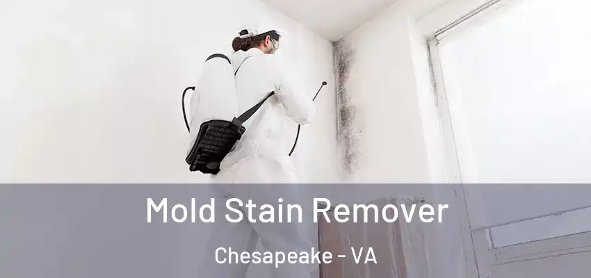 Mold Stain Remover Chesapeake - VA