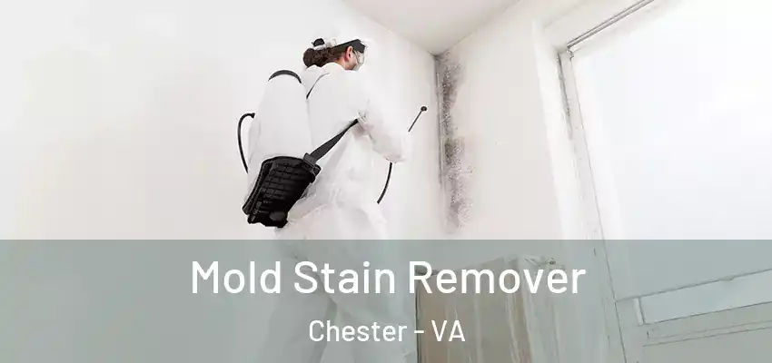 Mold Stain Remover Chester - VA