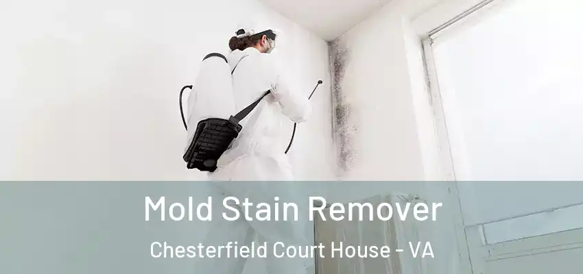 Mold Stain Remover Chesterfield Court House - VA