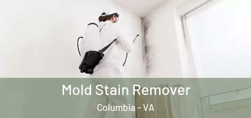 Mold Stain Remover Columbia - VA