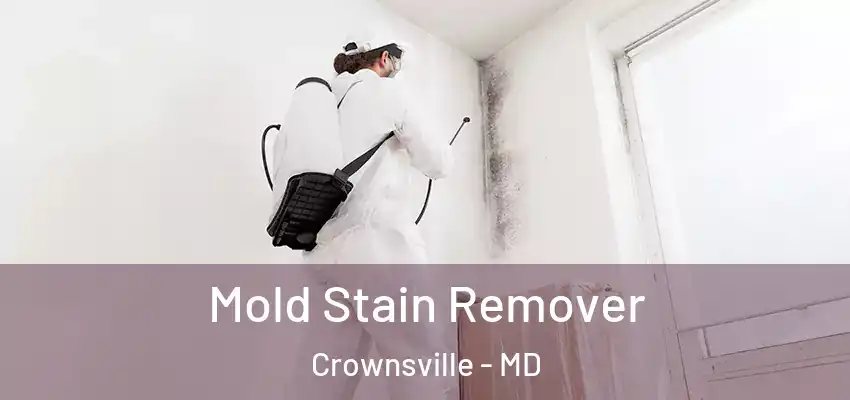  Mold Stain Remover Crownsville - MD
