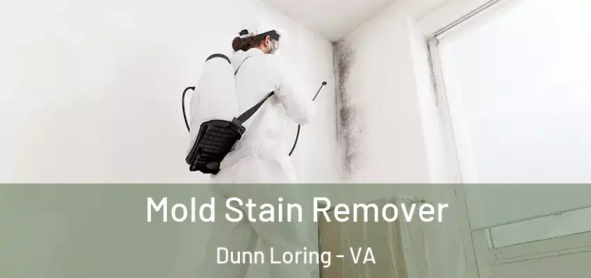 Mold Stain Remover Dunn Loring - VA