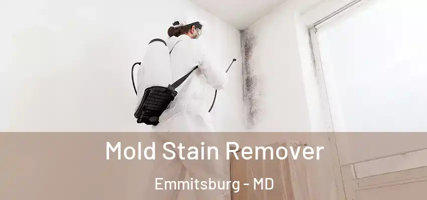 Mold Stain Remover Emmitsburg - MD