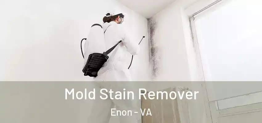  Mold Stain Remover Enon - VA