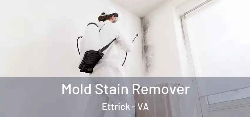 Mold Stain Remover Ettrick - VA