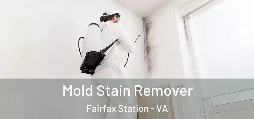 Mold Stain Remover Fairfax Station - VA