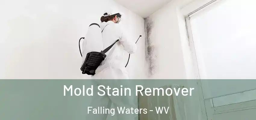 Mold Stain Remover Falling Waters - WV