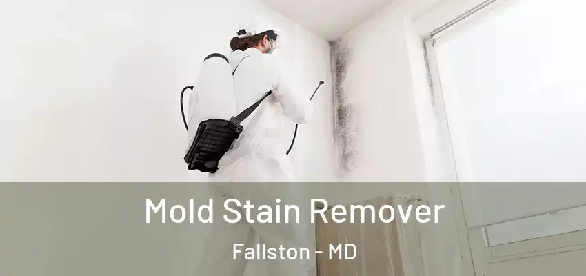 Mold Stain Remover Fallston - MD