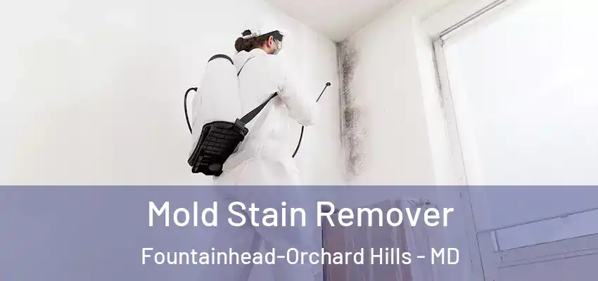  Mold Stain Remover Fountainhead-Orchard Hills - MD