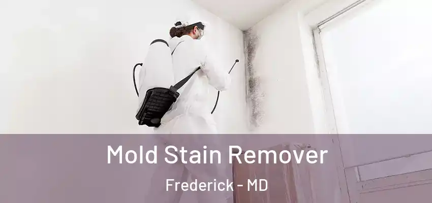 Mold Stain Remover Frederick - MD
