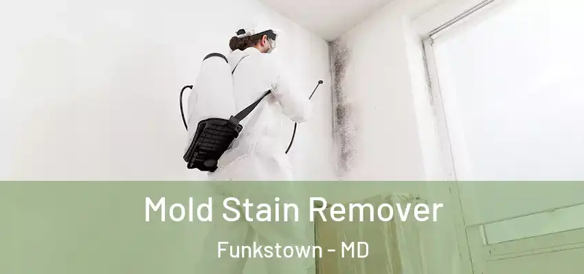 Mold Stain Remover Funkstown - MD