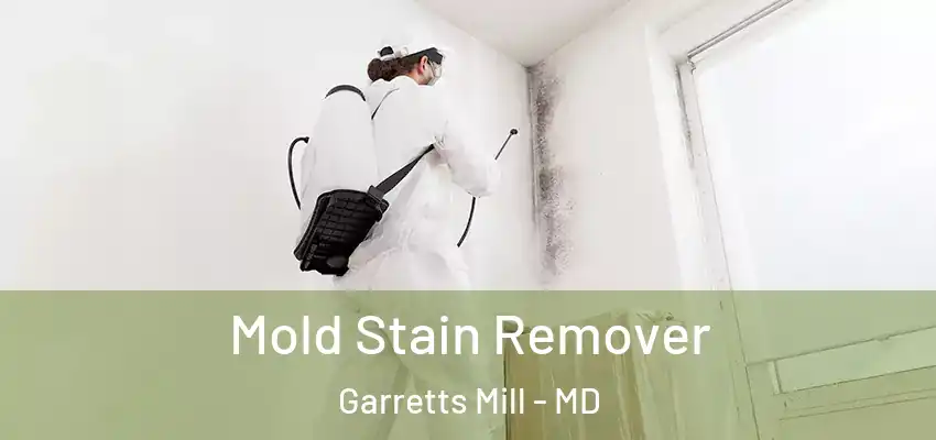Mold Stain Remover Garretts Mill - MD