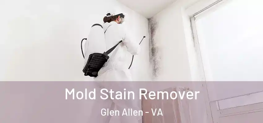 Mold Stain Remover Glen Allen - VA