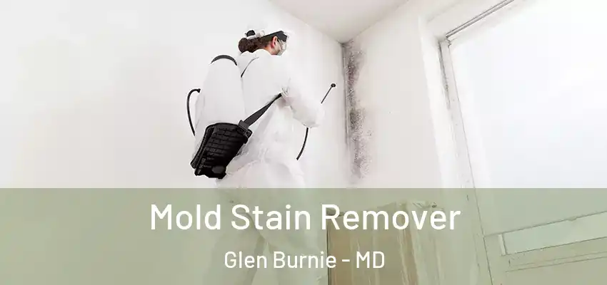 Mold Stain Remover Glen Burnie - MD