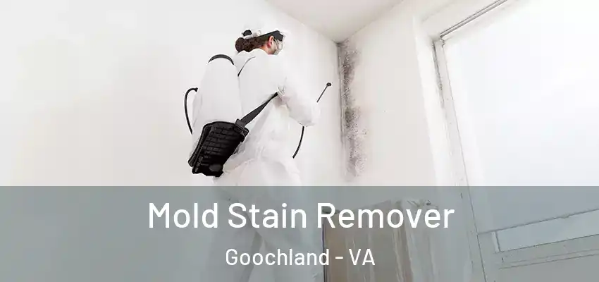  Mold Stain Remover Goochland - VA