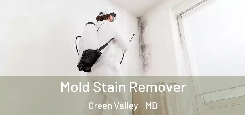 Mold Stain Remover Green Valley - MD