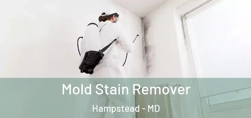 Mold Stain Remover Hampstead - MD