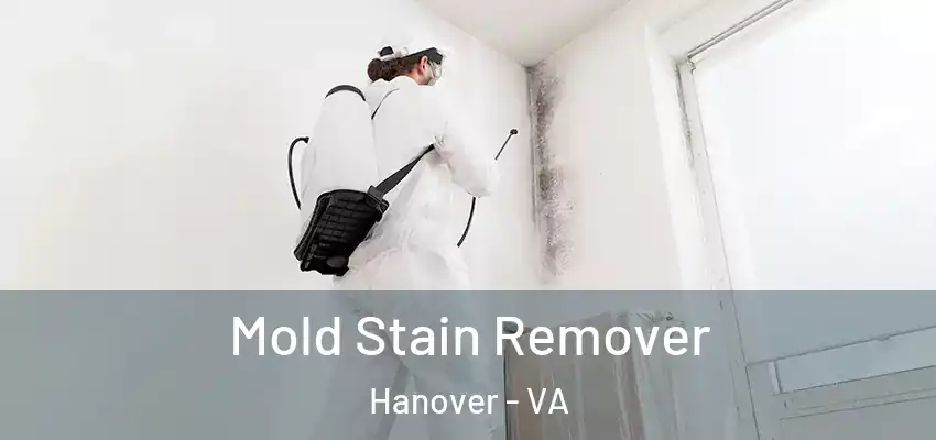 Mold Stain Remover Hanover - VA