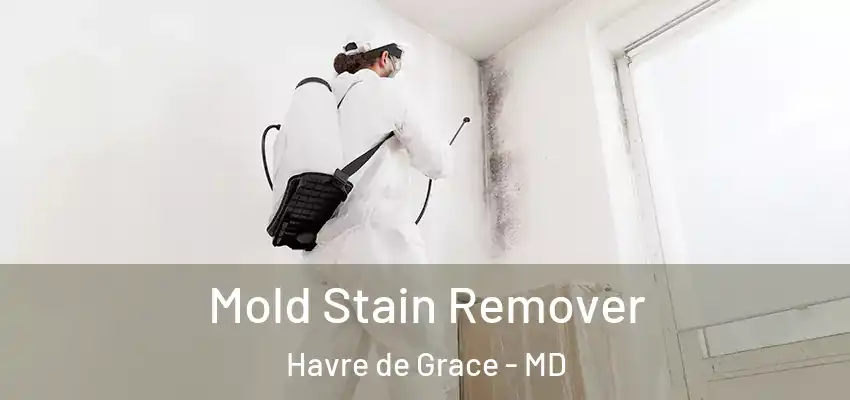 Mold Stain Remover Havre de Grace - MD