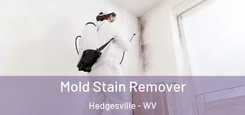 Mold Stain Remover Hedgesville - WV