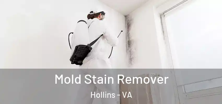 Mold Stain Remover Hollins - VA