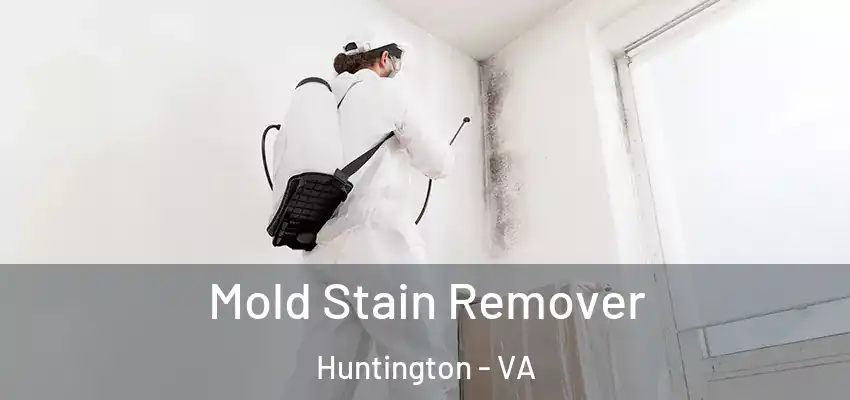 Mold Stain Remover Huntington - VA