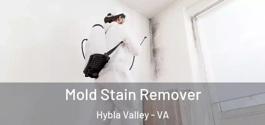 Mold Stain Remover Hybla Valley - VA