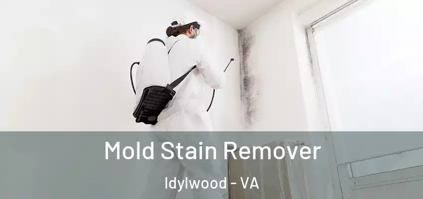  Mold Stain Remover Idylwood - VA