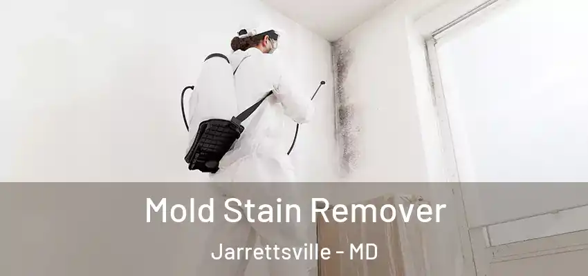  Mold Stain Remover Jarrettsville - MD