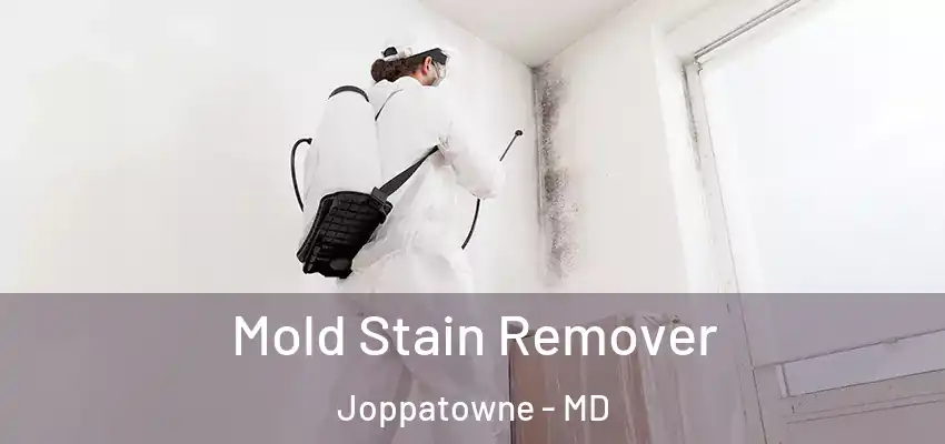 Mold Stain Remover Joppatowne - MD