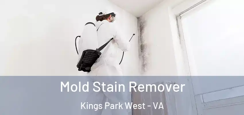  Mold Stain Remover Kings Park West - VA