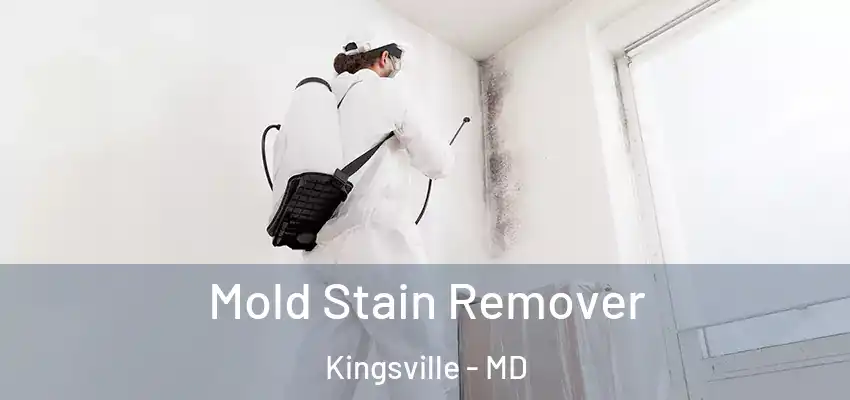 Mold Stain Remover Kingsville - MD