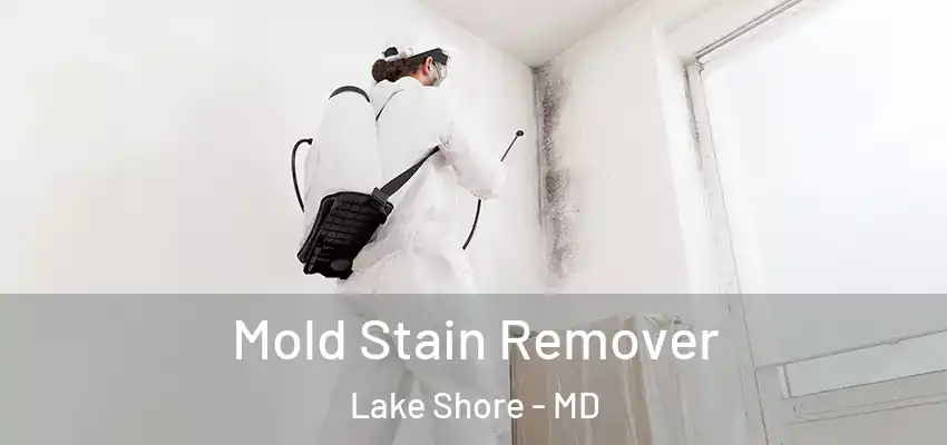 Mold Stain Remover Lake Shore - MD