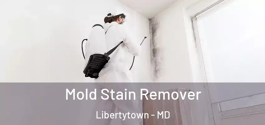 Mold Stain Remover Libertytown - MD