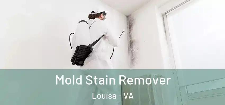 Mold Stain Remover Louisa - VA