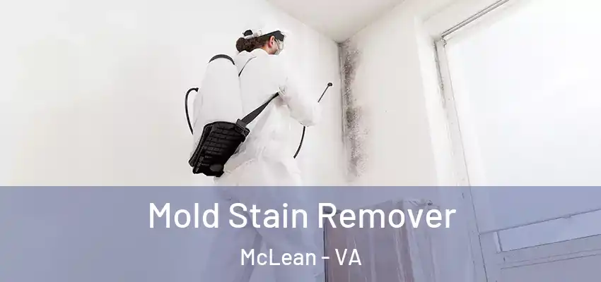 Mold Stain Remover McLean - VA