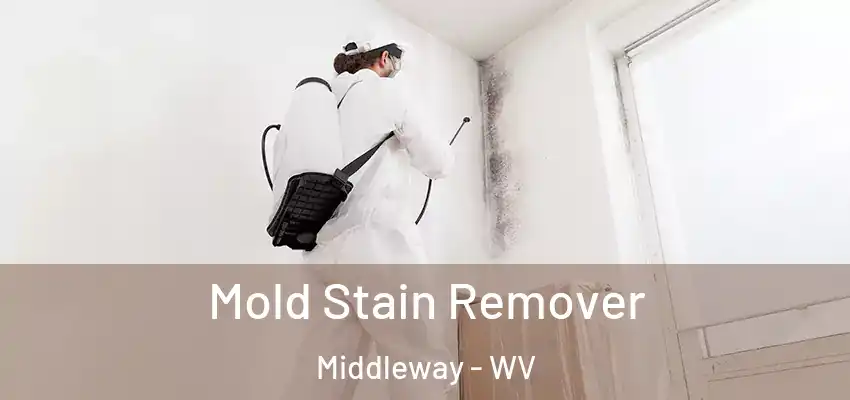 Mold Stain Remover Middleway - WV