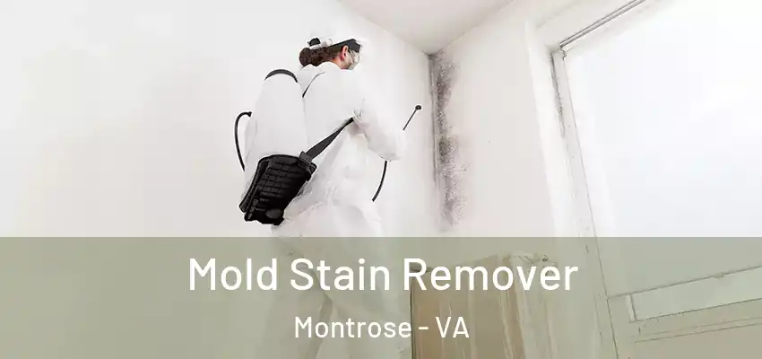 Mold Stain Remover Montrose - VA