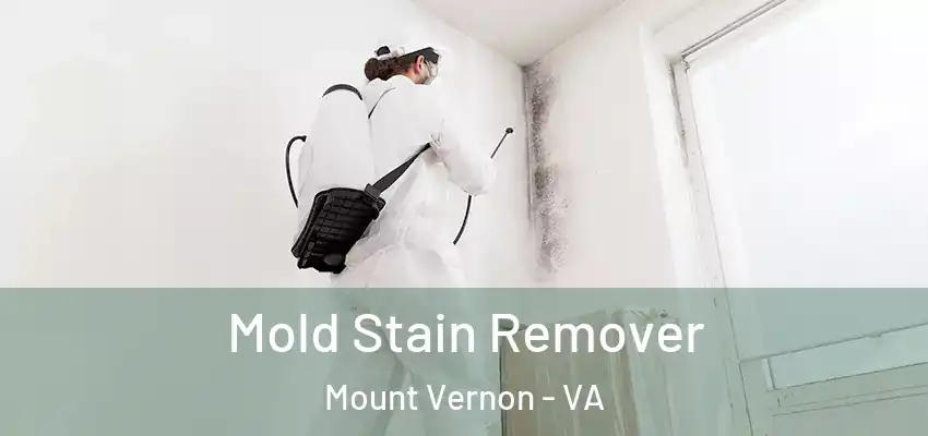 Mold Stain Remover Mount Vernon - VA