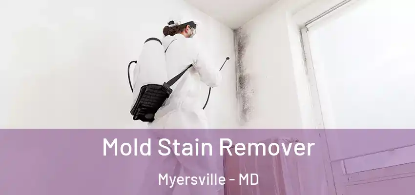  Mold Stain Remover Myersville - MD