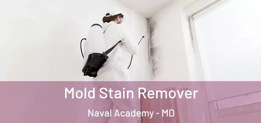Mold Stain Remover Naval Academy - MD