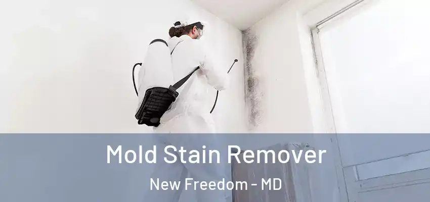 Mold Stain Remover New Freedom - MD