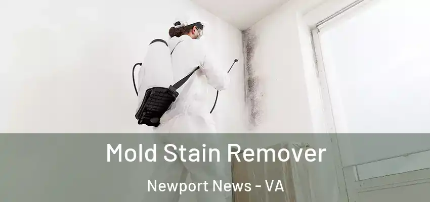 Mold Stain Remover Newport News - VA