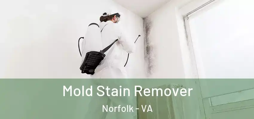  Mold Stain Remover Norfolk - VA