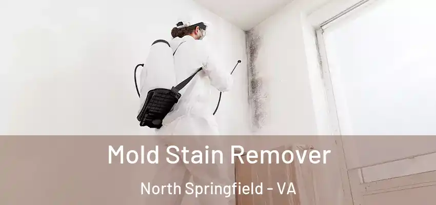 Mold Stain Remover North Springfield - VA
